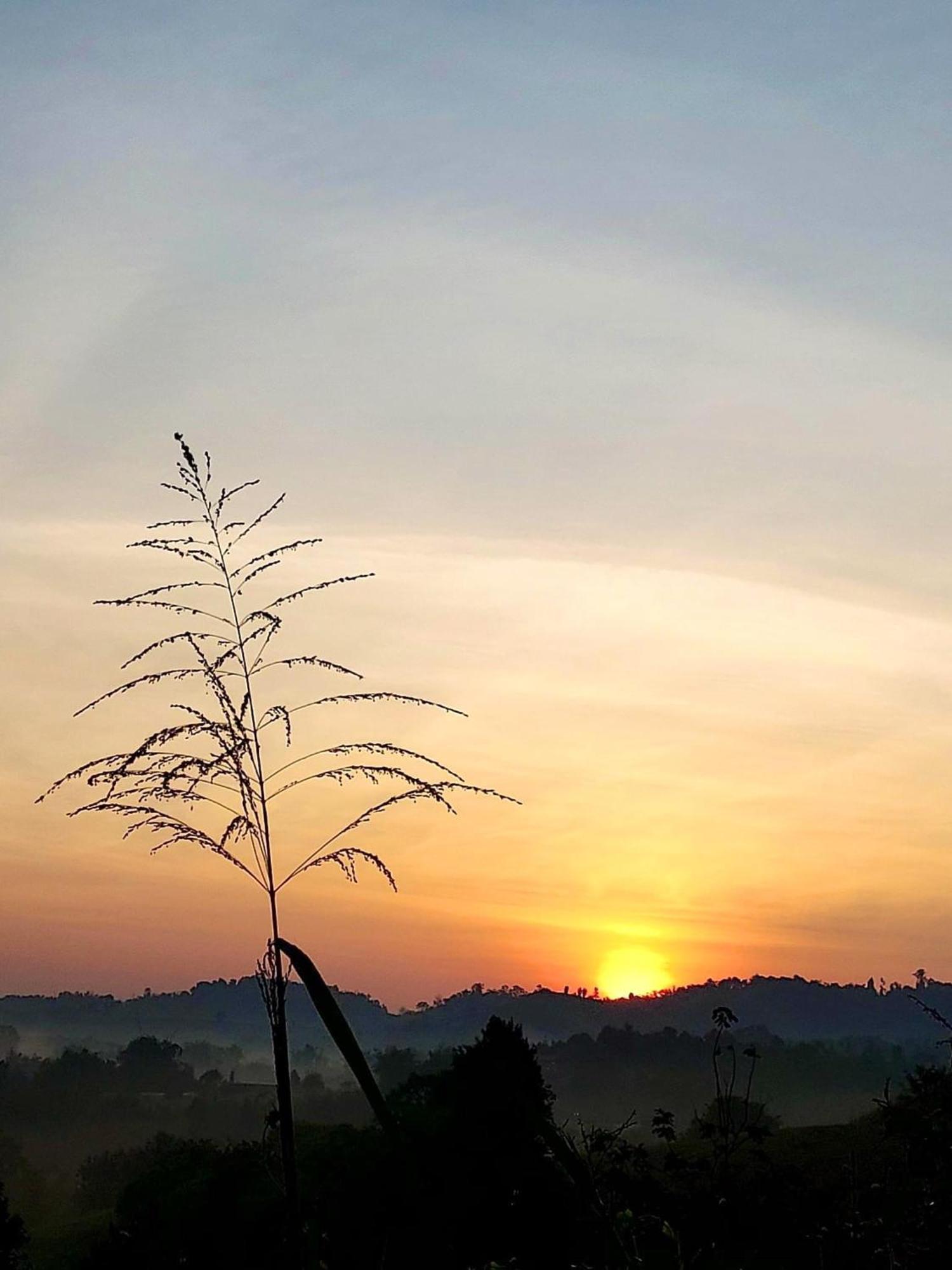 Chaikho Home Ban Khao Ya Nua Luaran gambar